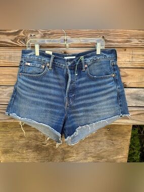 American Eagle 77 Premium Classic High-Rise Denim Shorts Size 10 Organic Cotton